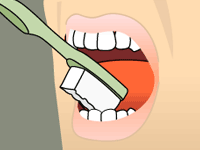 BRUSHING: STEP 4 Use the tip of your brush for the inner surface of your front teeth.